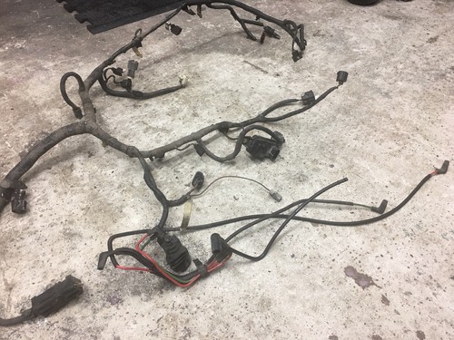 Used 2003 Ford F-150 Engine Harness for Sale