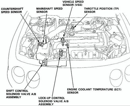 97 Integra Engine Diagram Wiring Diagram