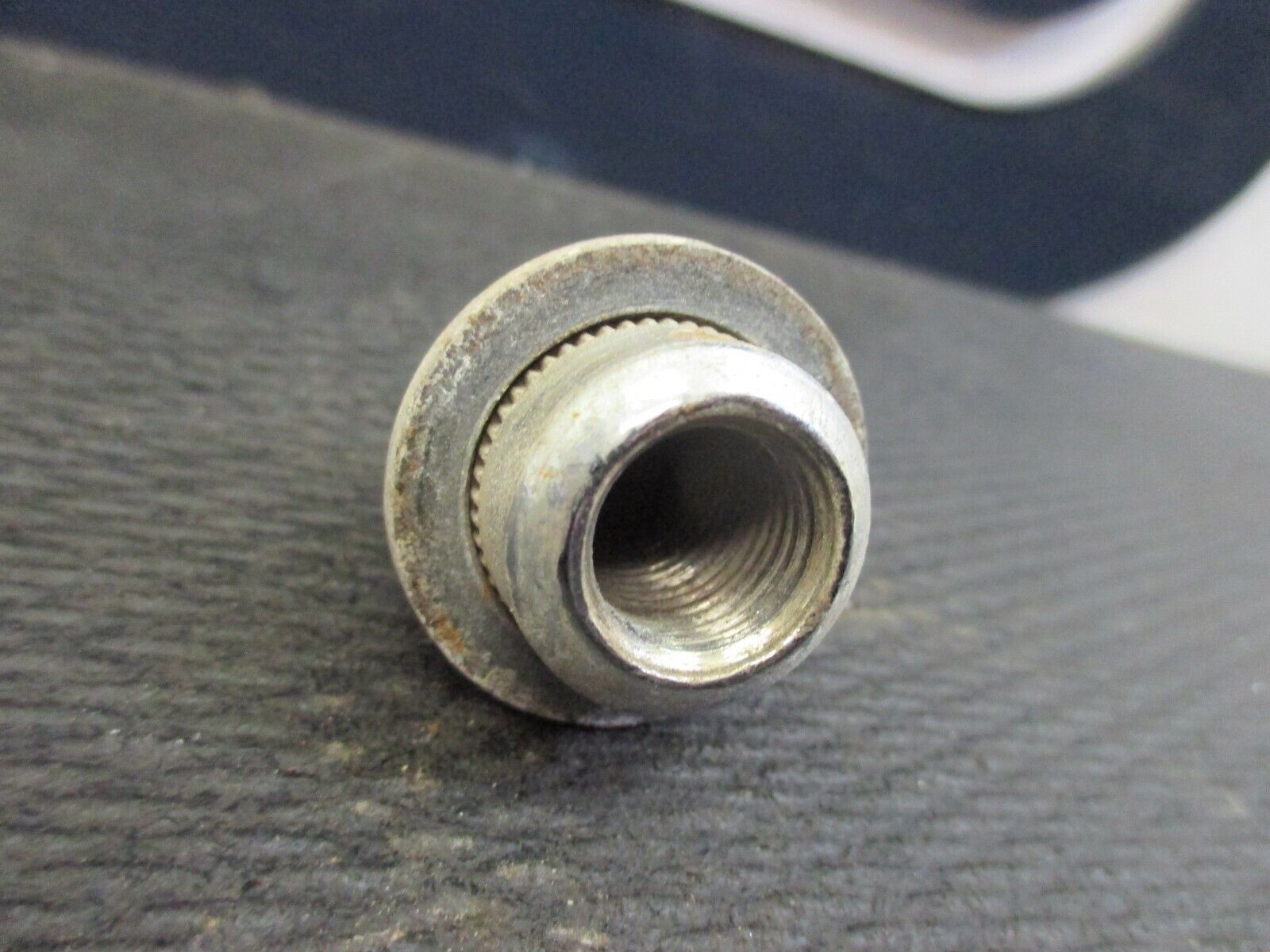 Used 2005 Honda Odyssey Exl Lug Nut Lugnut Screw for Sale