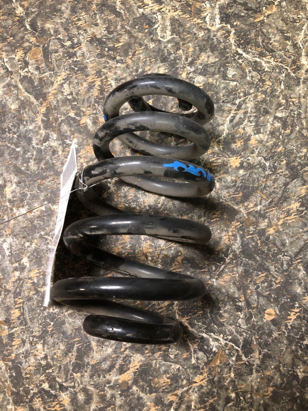 Used Oem Rear Coil Spring Audi S4 20042009 for Sale