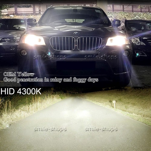 Interchange Part Number 9006 9005 9004 Hi-Lo