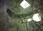 Interchange Part Number 512-58330L