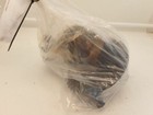 Interchange Part Number 445-01018